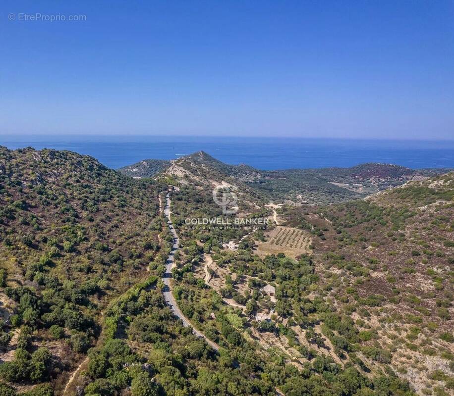 Terrain à MONTICELLO