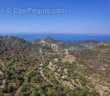 Terrain à MONTICELLO