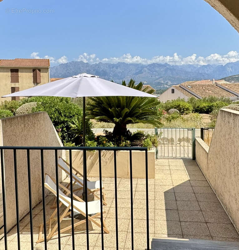 Studio Calvi Centre - photo 3