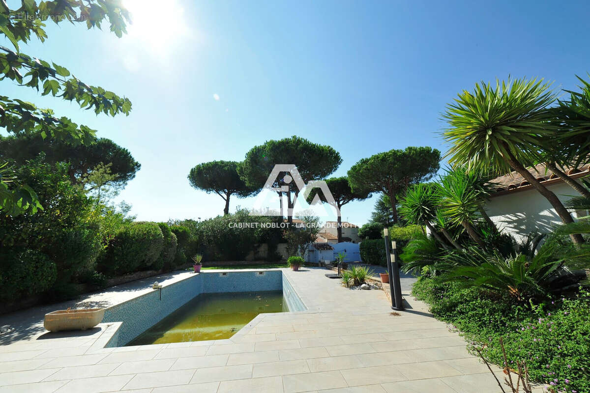 Maison à LA GRANDE-MOTTE