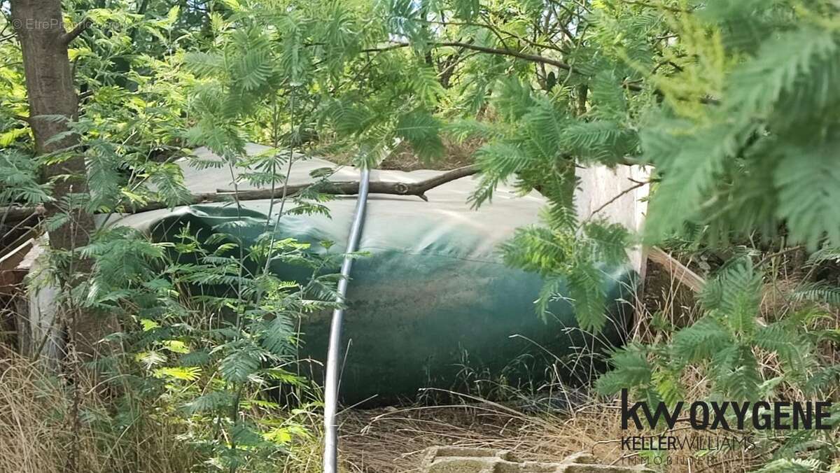 Terrain à SAINT-JEAN-PLA-DE-CORTS