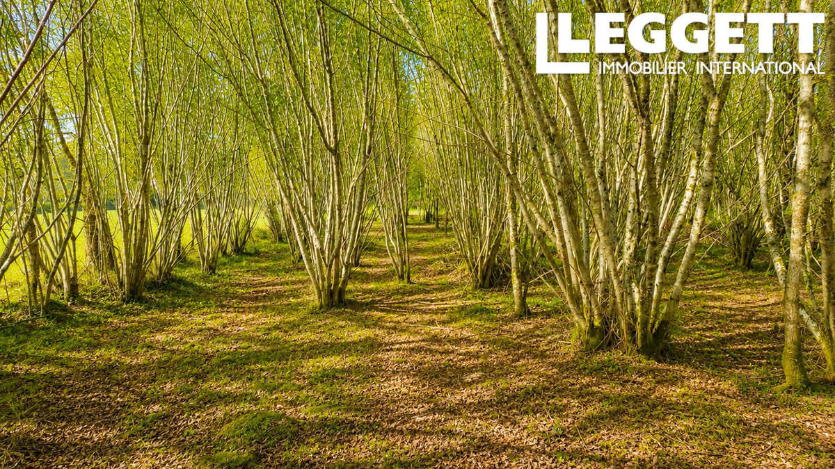 Beau terrain avec une grange en ruine avec CU - photo 9