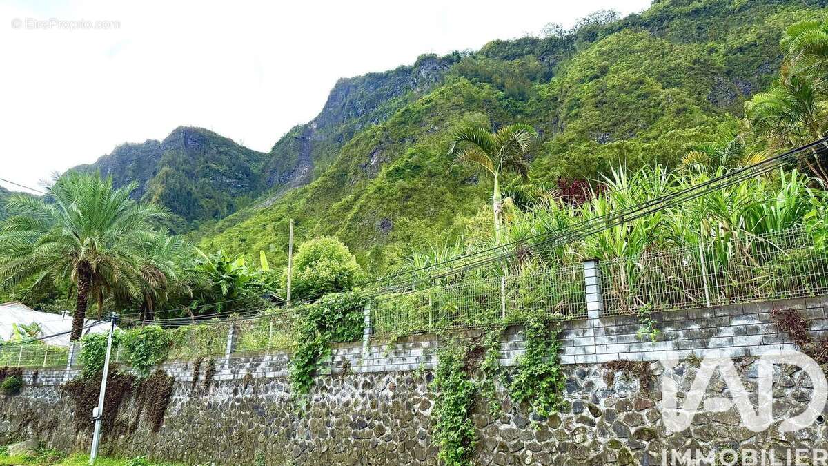 Photo 6 - Terrain à CILAOS