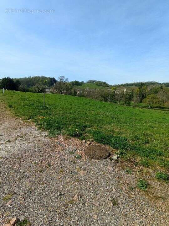 Terrain à FERRIERES-SUR-SICHON