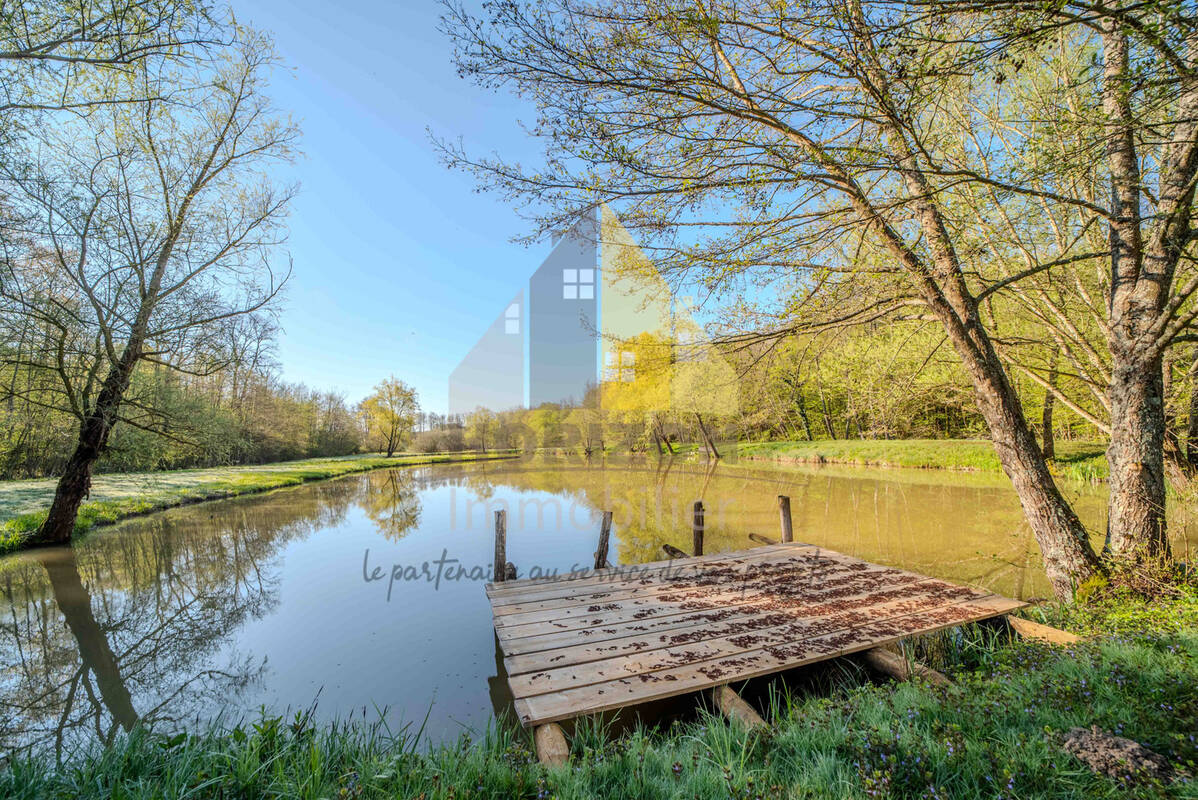 Terrain à SAILLENARD