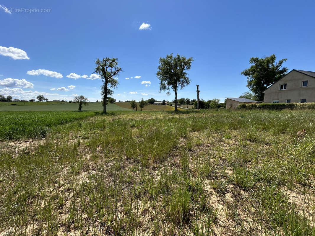 Terrain à TAURIAC-DE-NAUCELLE