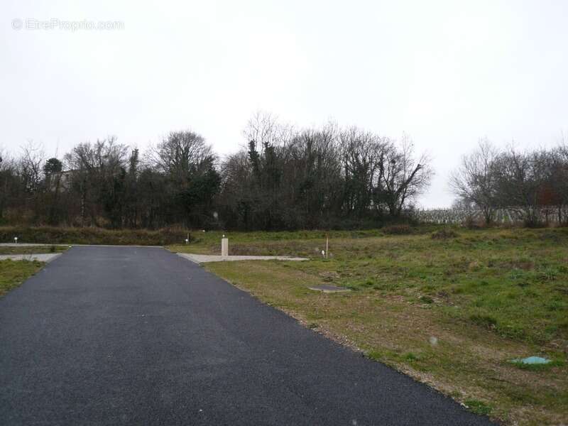 Terrain à SAINT-LAURENT-DE-COGNAC