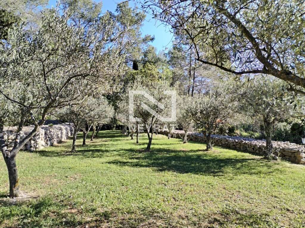 Mas en pierre a fayence var - magnifique jardin 3500m²  avec piscine - bassin et forage - photo 6