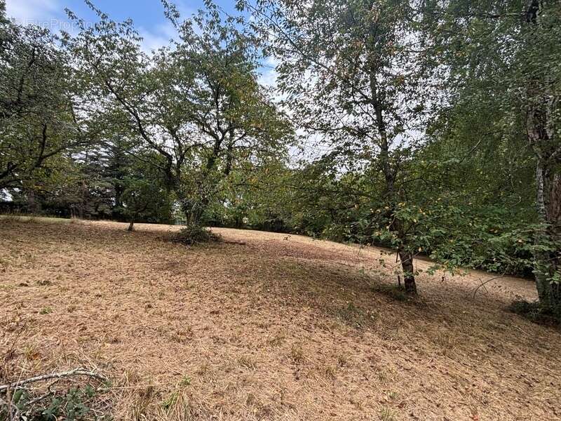 Terrain à vendre de 2 247,00 m²  () - photo 9