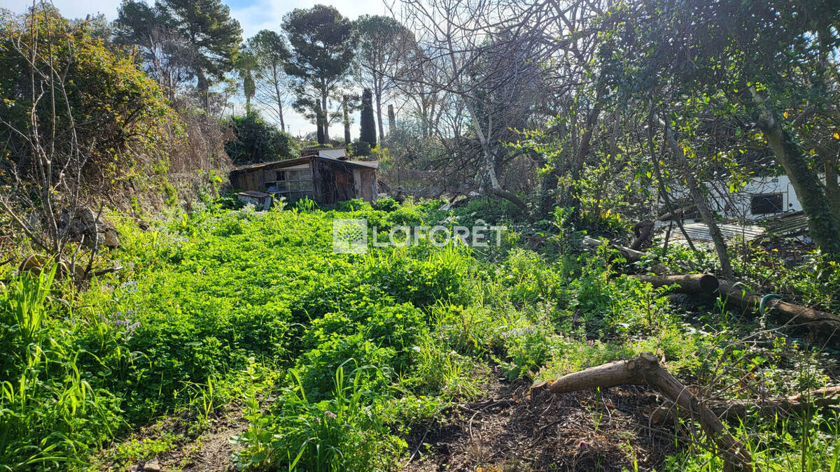 Terrain à PEYMEINADE