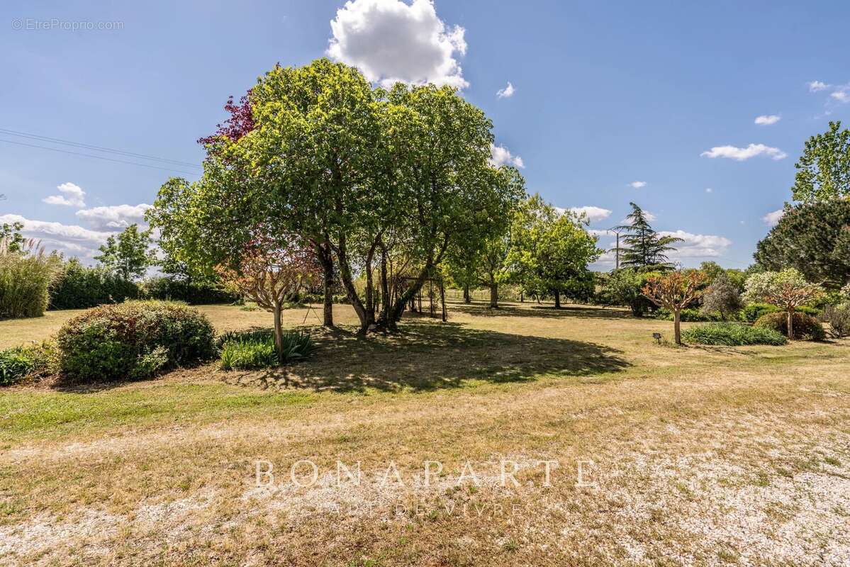 Bégadan - propriété en pierre de 16 hectares à 25 minutes des plages - photo 6