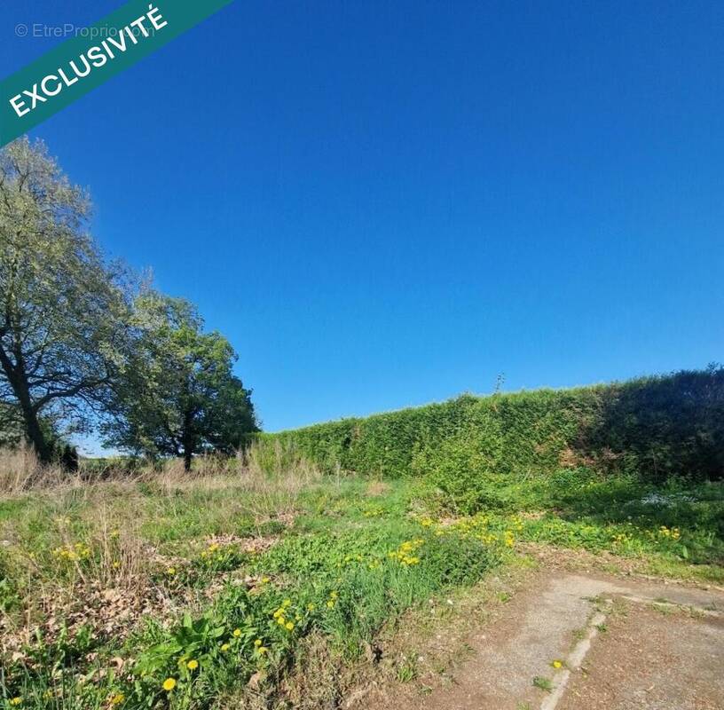 Photo 1 - Terrain à PIERREPONT