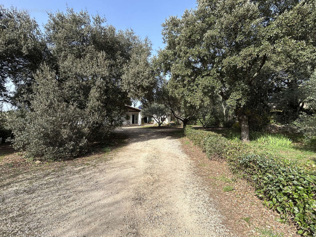 Maison à SAINT-SIFFRET