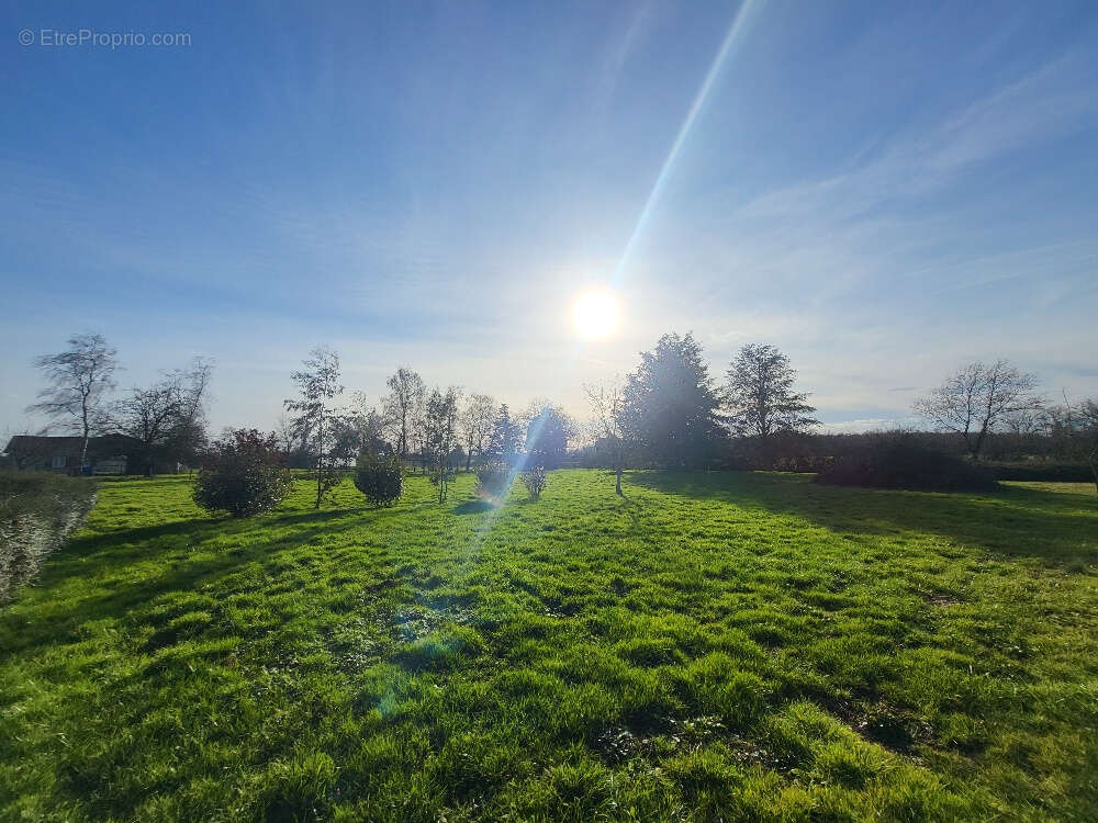 Maison à VILLARS-LES-DOMBES