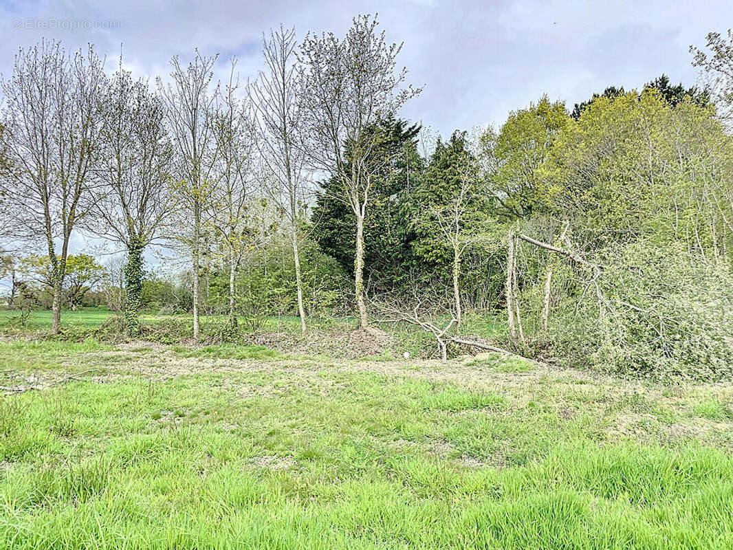 Terrain de 1000 m² constructible à St Julien. - photo 2