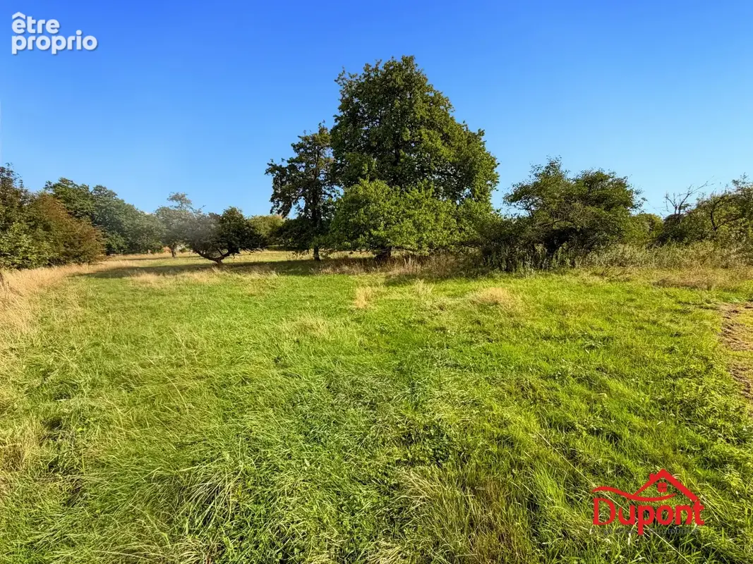 Terrain 3 339 m² à vendre à Taillette (08230) - photo 3