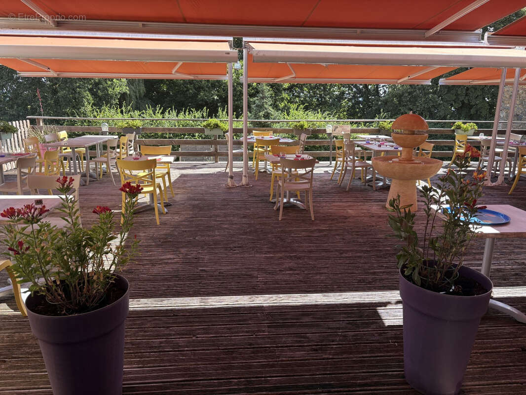 Region pompadour restaurant murs et fonds - photo 18