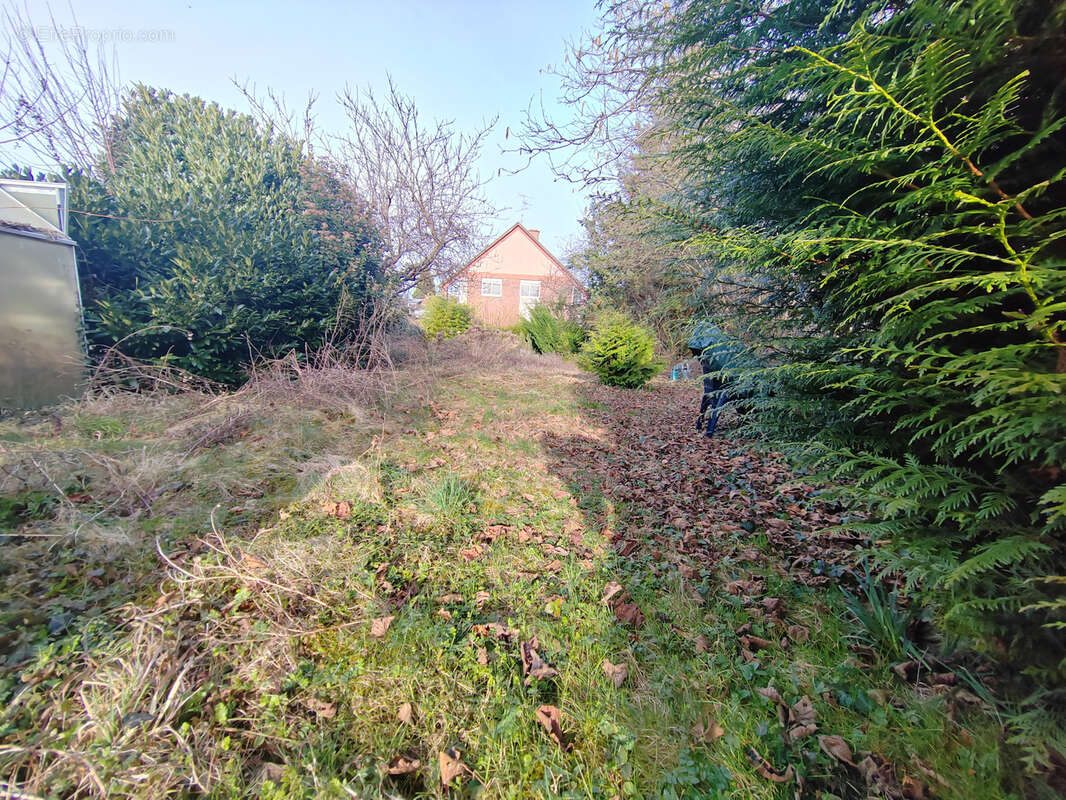 Terrain d'agrement riedisheim - photo 3