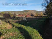 Terrain à MONTLAUR