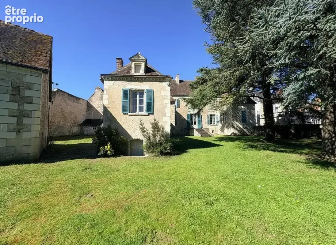 Majestueux Hôtel Particulier à Châtillon-sur-Indre - photo 2