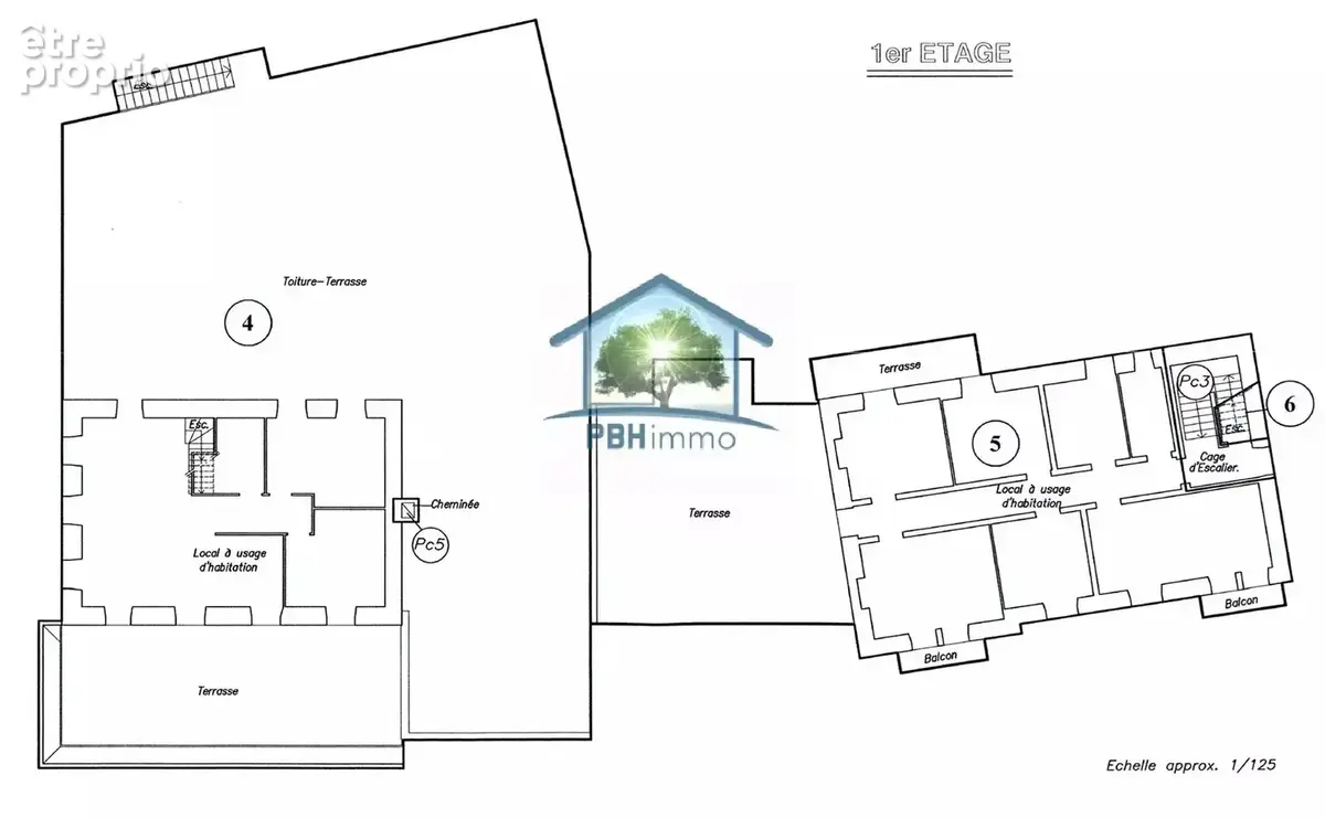 OTTERSTHAL (67) - Propriété 21 pièces 787m²  sur 50,95 ares - photo 17