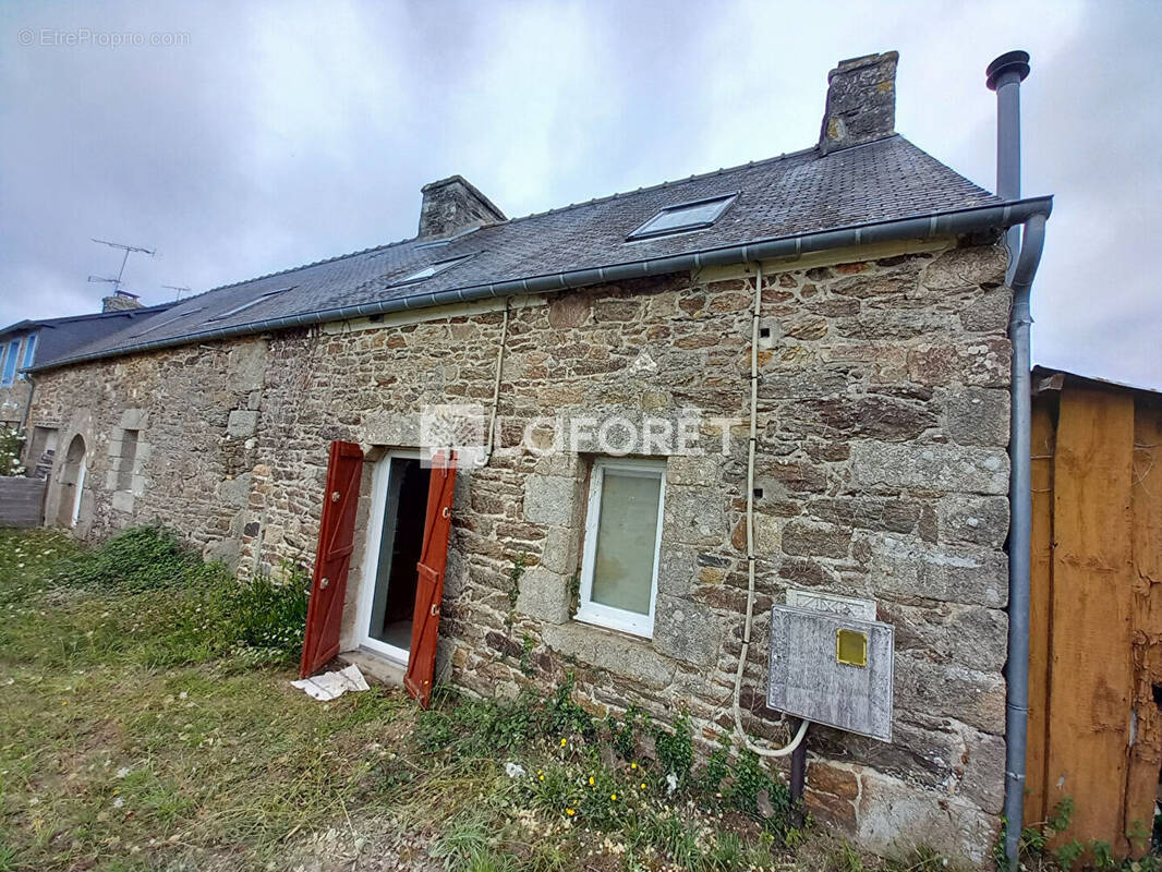 Maison à SAINT-PEVER