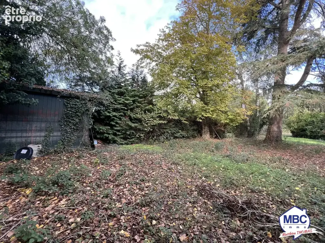 Terrain de Loisir - proche Loire - photo 2