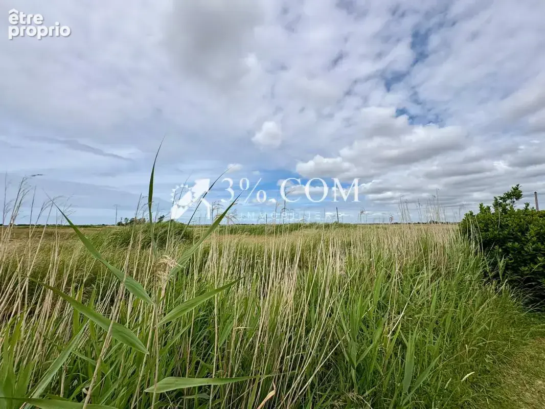 A vendre charmante longère avec vue sur le marais - photo 22