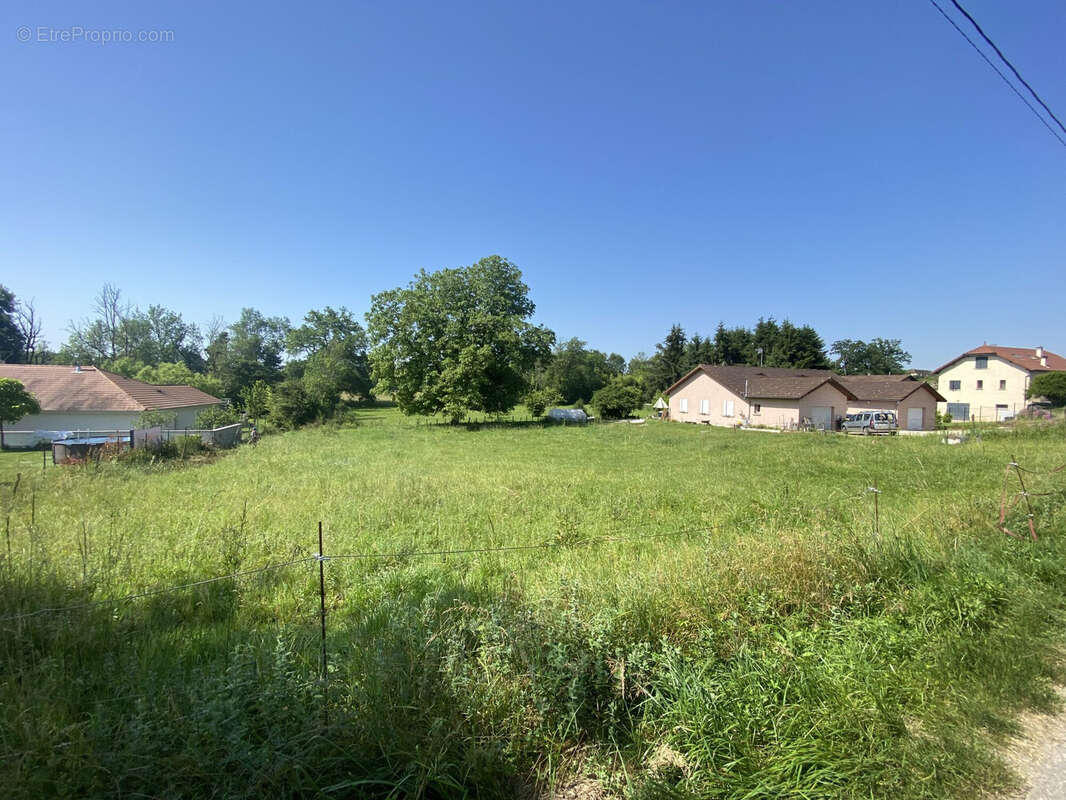 Terrain à BRANGUES