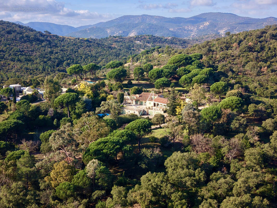 Le plan de la tour - tres belle propriété sur 4 hectares - rafraichissements à prevoir. - photo 30