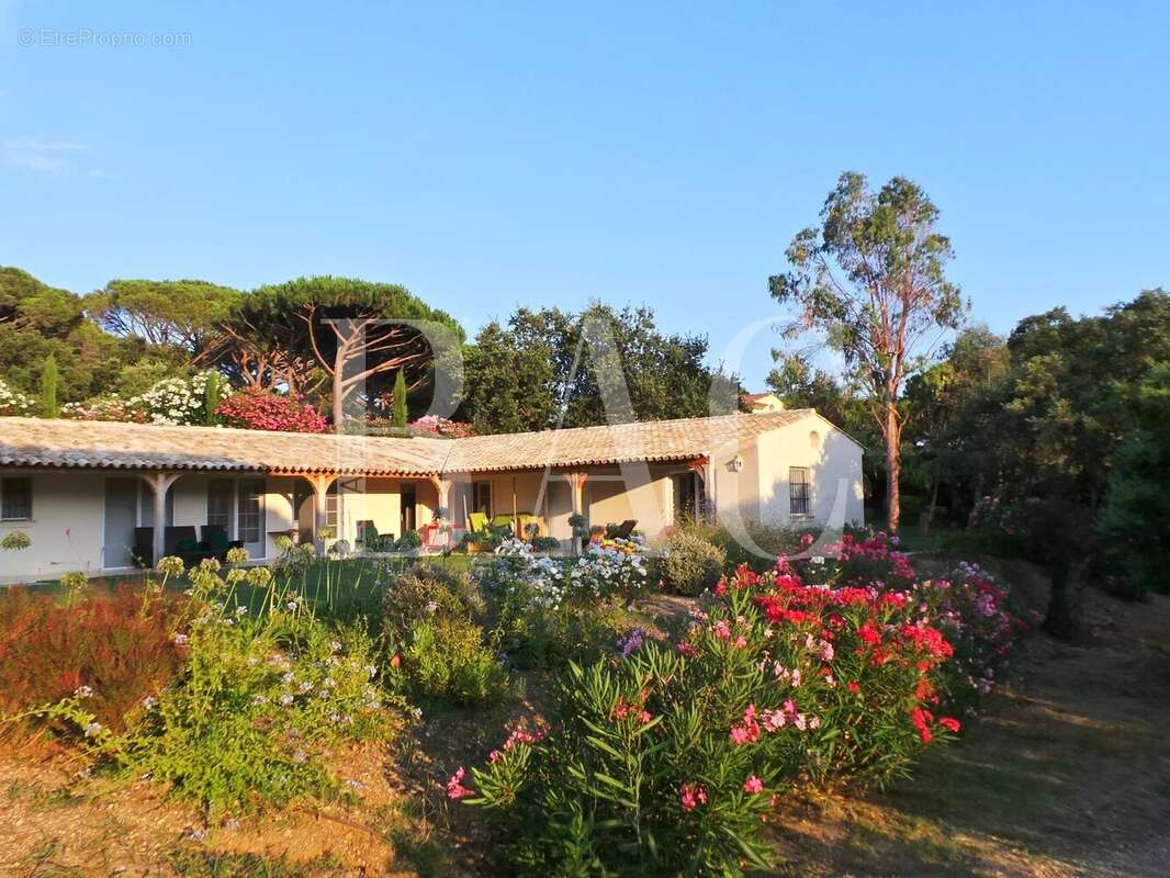 Maison à RAMATUELLE