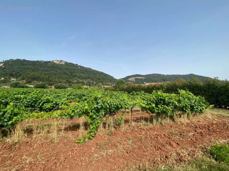Terrain à GONFARON