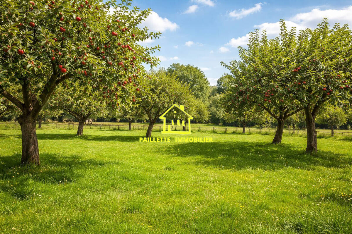 Terrain à GONNEVILLE-LA-MALLET