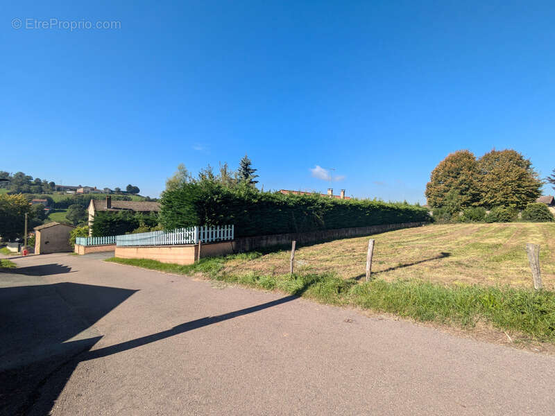 Terrain à PANISSIERES