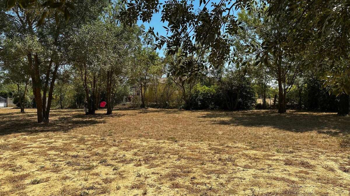 Photo 3 - Maison à VILLEMOUSTAUSSOU