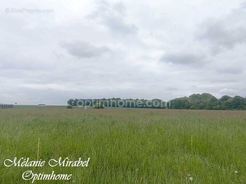 Terrain à COURDEMANCHE