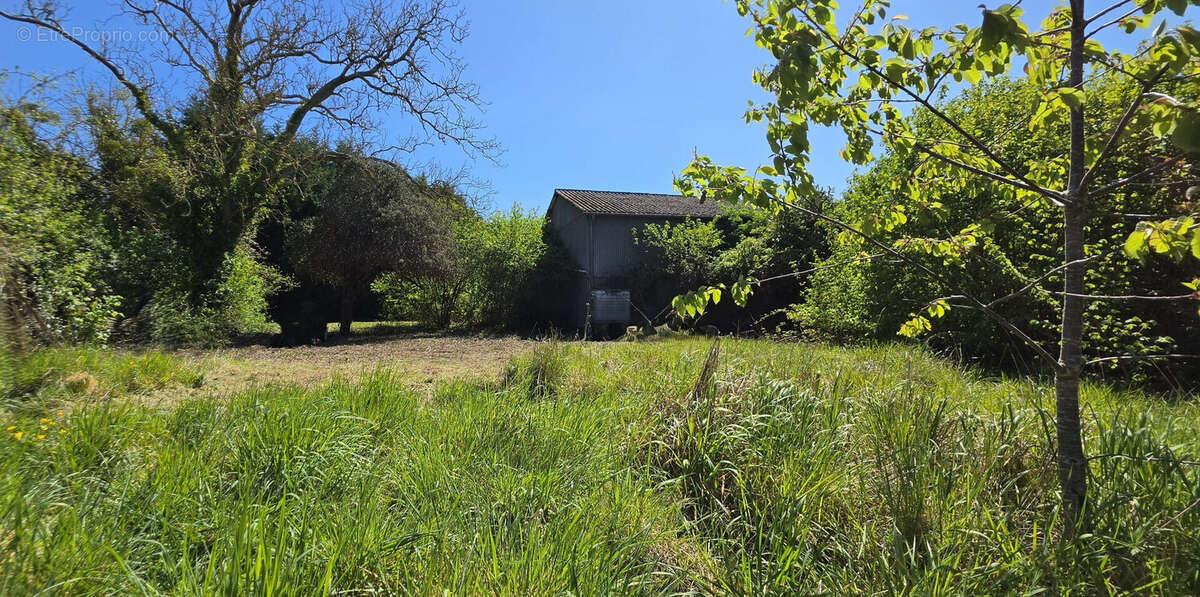 Terrain à MACHEMONT