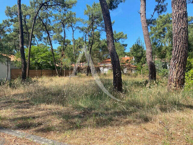 Terrain à LA TRANCHE-SUR-MER