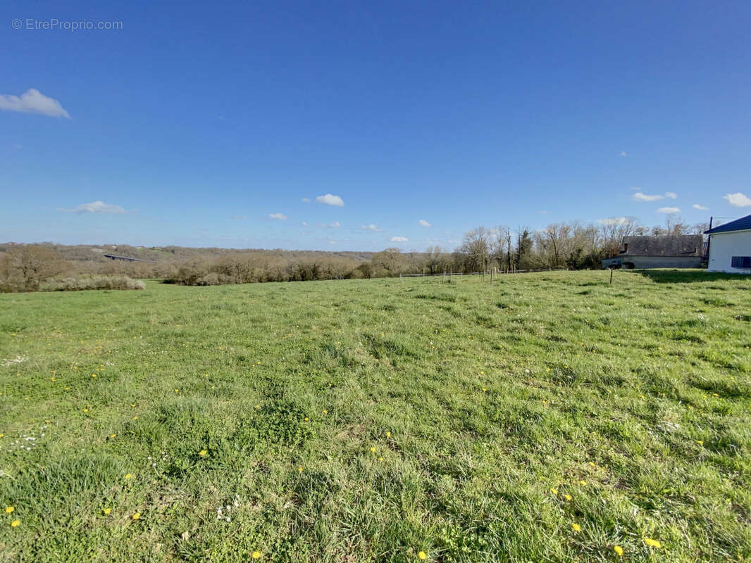 Terrain à LALONQUETTE