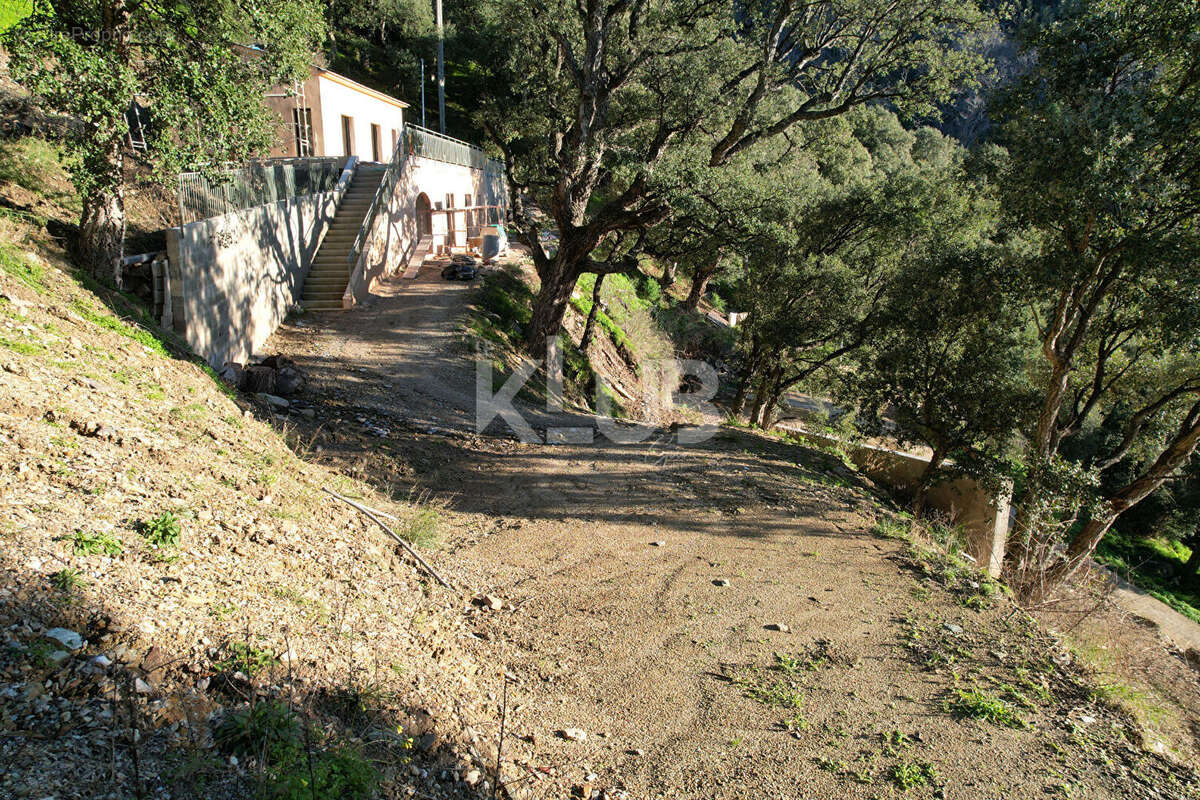 Terrain à POGGIO-D'OLETTA