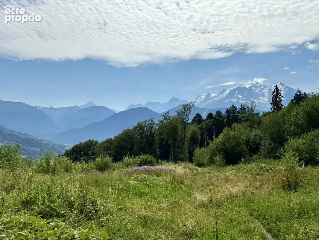 Terrain constructible de 9210 m² à Combloux - photo 2