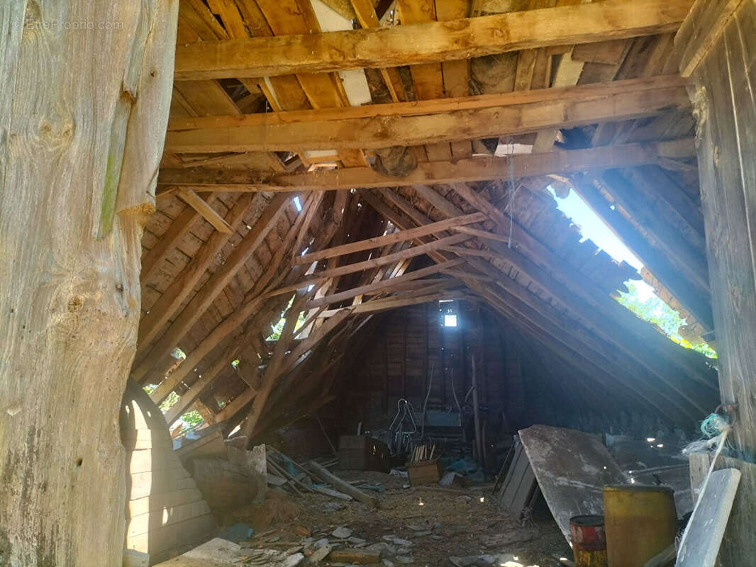 Maison Taussac 2 pièce(s) 250 m2 - photo 4