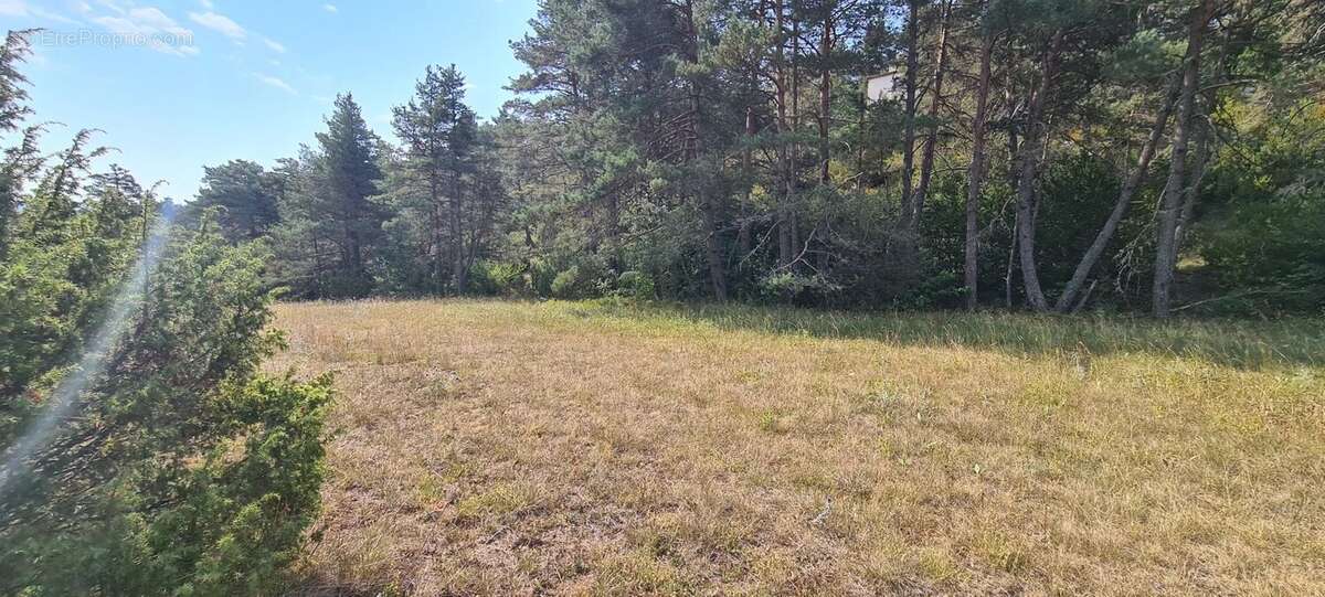 Terrain constructible de 1 990 m² – Un cadre naturel privilégié - photo 8