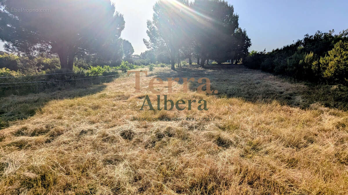 Terrain non constructible - photo 2