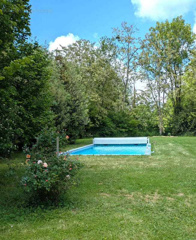 Belle Villa Atypique dans son parc Arboré, piscine chauffée 10x5 + Terrain constructible avec verger - photo 4
