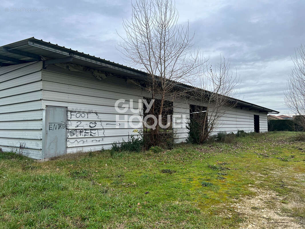 Commerce à TONNEINS