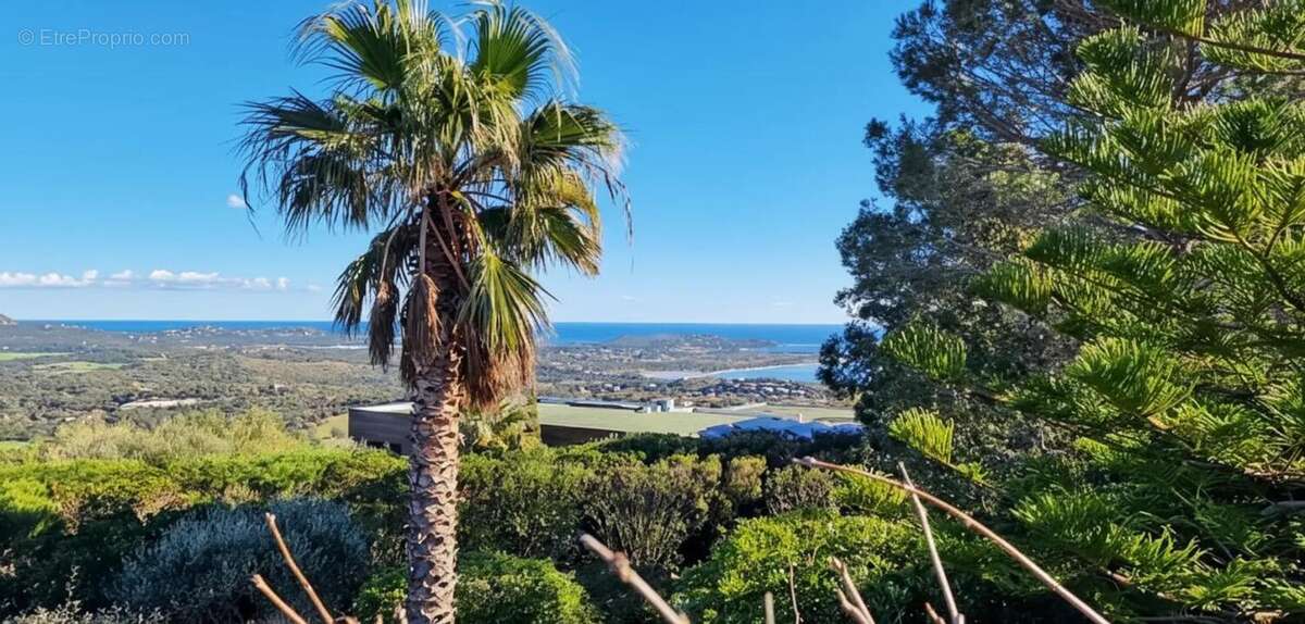 Maison à PORTO-VECCHIO