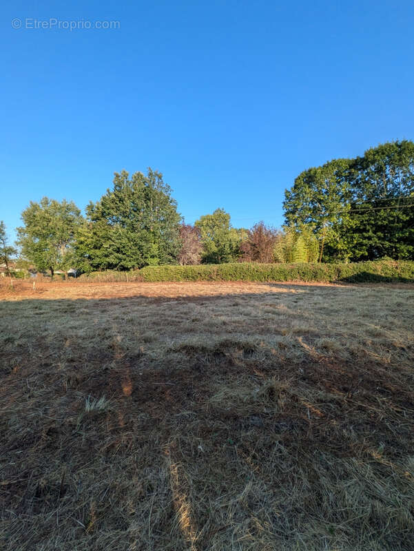 Terrain constructible de 1 793 m2   plat, non viabilisé - photo 4