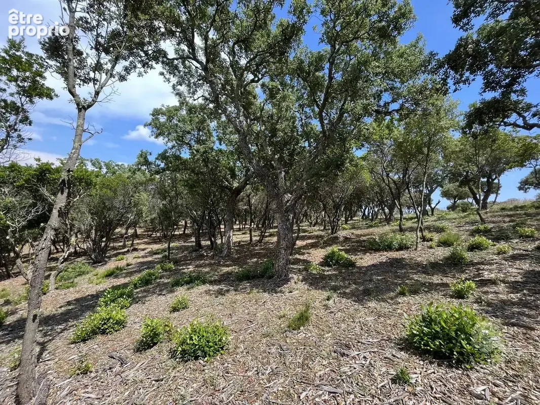Terrain 25 956 m² à vendre à Saint-Raphael (83700) - photo 8