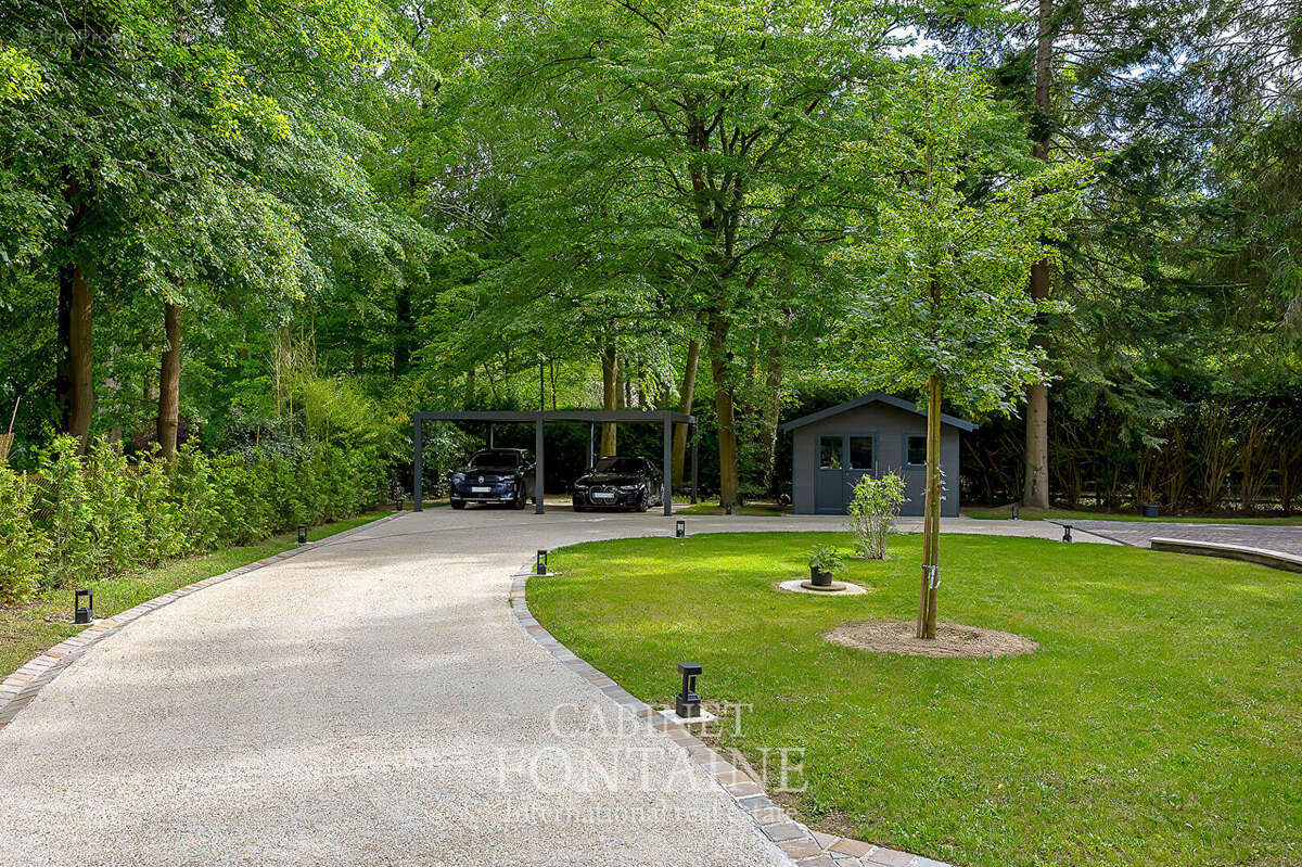 Propriété  Triangle d'or  domaine du Lys - photo 3